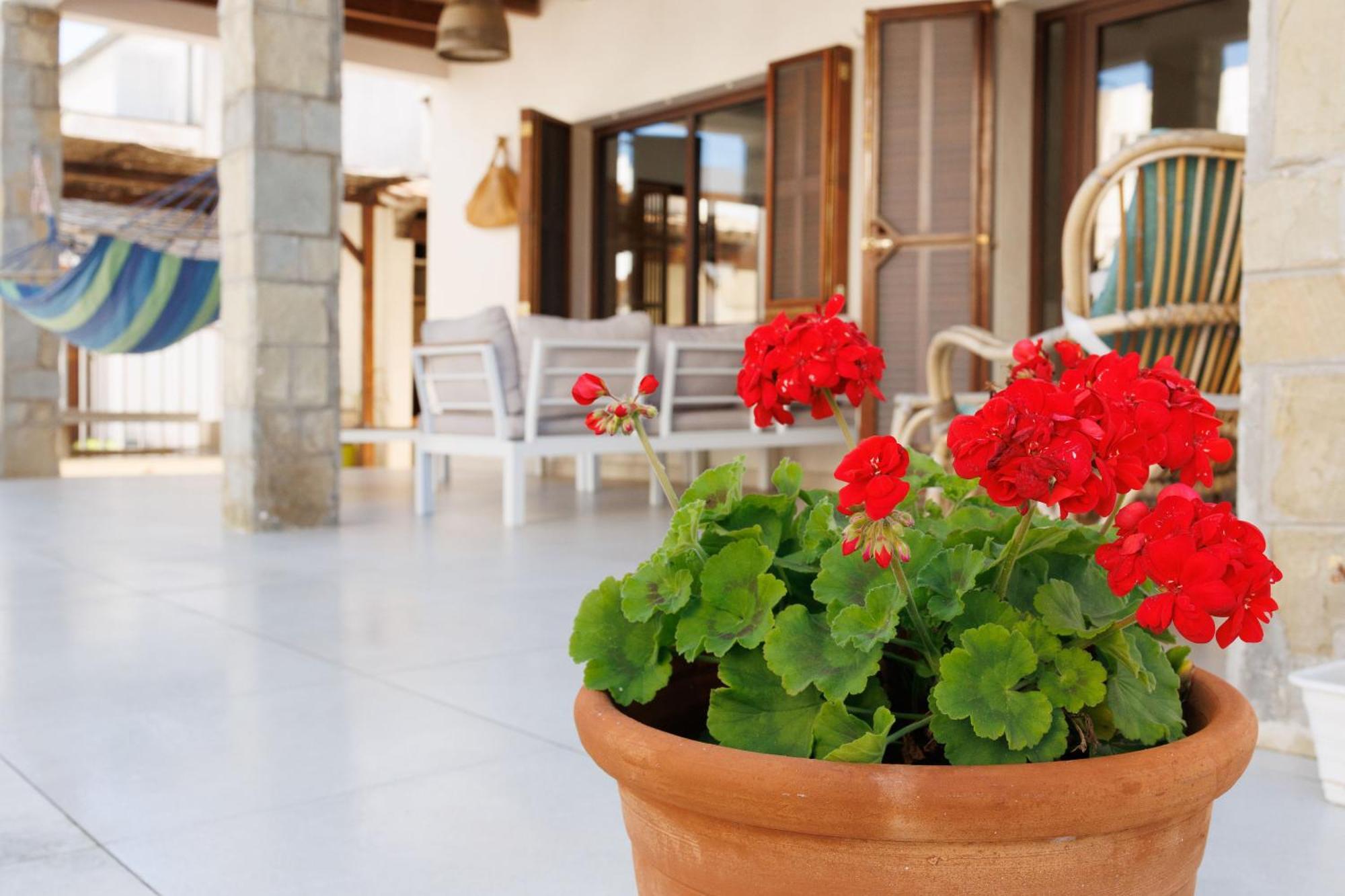 Villa Can Ordinas Alcúdia Extérieur photo